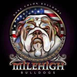 Meet your Posher, Jose